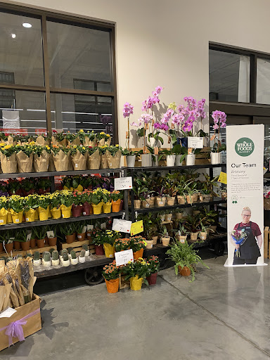 Grocery Store «Whole Foods Market», reviews and photos, 1933 NJ-35, Wall Township, NJ 07719, USA