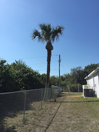 A+ Lawn & Home Services LLC. - Photo 6 - Car repair in , Lehigh Acres