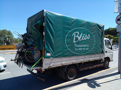 Bliss Transportes