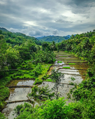 Goa Sriti - Desa Wisata Tinalah