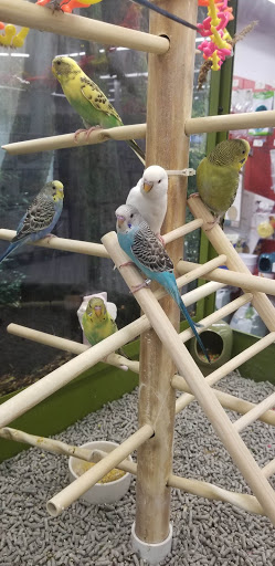 Pet Supply Store «Petco Animal Supplies», reviews and photos, 1808 Tamiami Trail a, Port Charlotte, FL 33948, USA