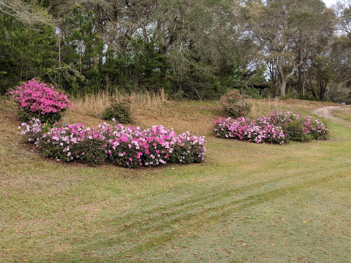 Public Golf Course «Eglin Golf Course», reviews and photos, 1527 Fairway Dr, Niceville, FL 32578, USA