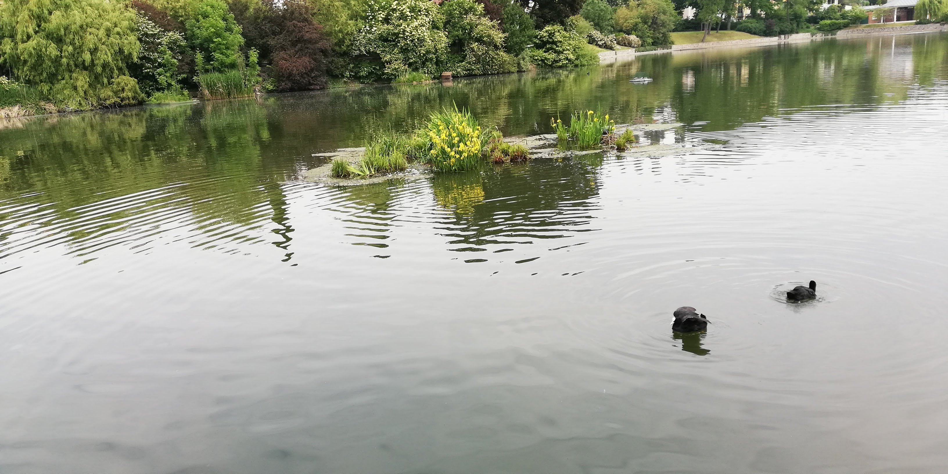 Photo n° 4 de l'avis de Florent. fait le 30/05/2019 à 03:52