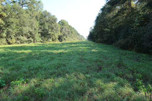 Nature Preserve «Montgomery County Preserve», reviews and photos, 1118 Pruitt Rd, The Woodlands, TX 77380, USA