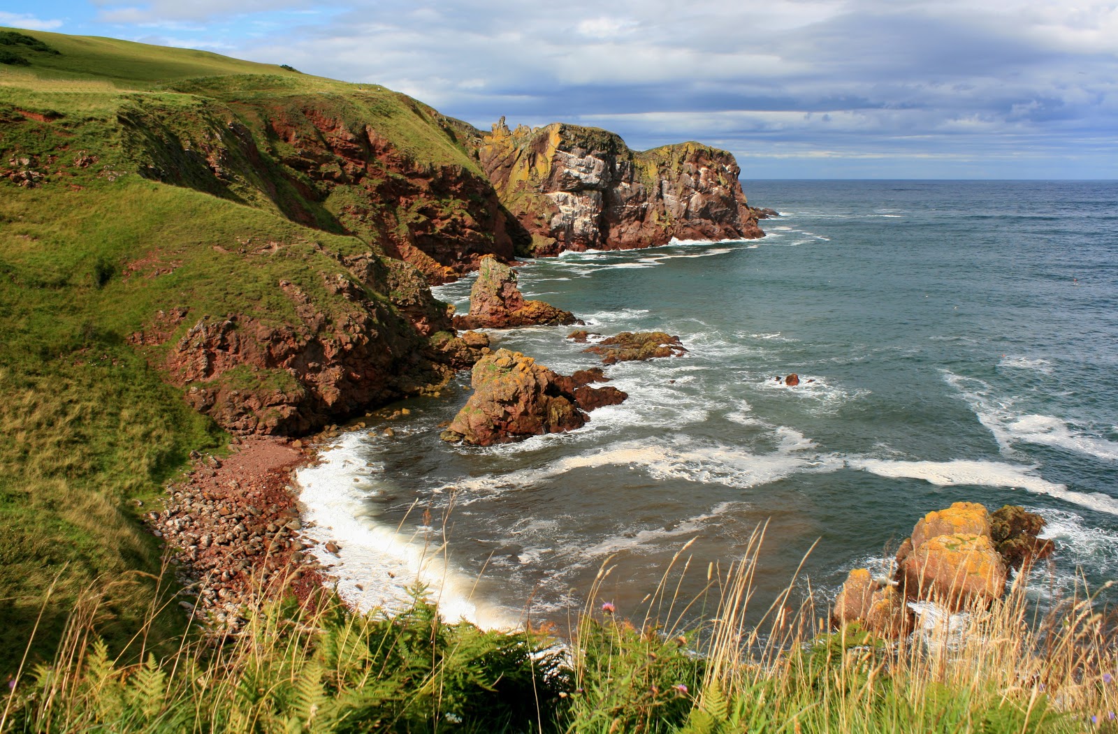 Photo de Starney Bay avec l'eau cristalline de surface