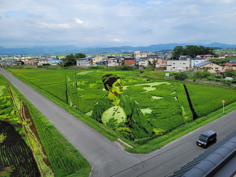 田舎館村田んぼアート 第１会場