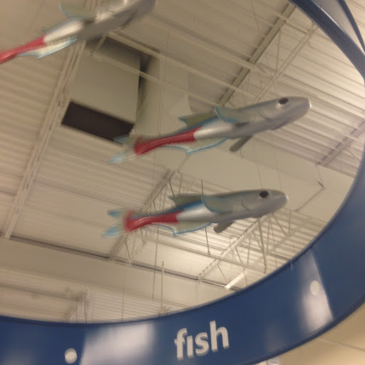 Pet Supply Store «PetSmart», reviews and photos, 1550 Butterfield Rd, Downers Grove, IL 60515, USA