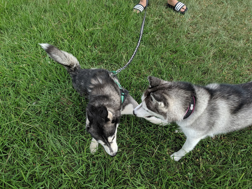 Park «Cottage Grove Park», reviews and photos, 2100 Arabelle St, Houston, TX 77007, USA