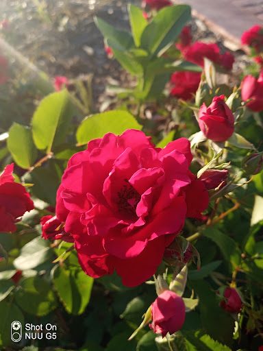 Park «Huset Park», reviews and photos, 3965 Jefferson St NE, Columbia Heights, MN 55421, USA