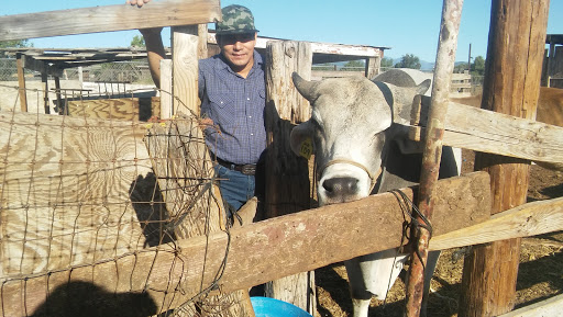 Meat Wholesaler «Lizze Custom Processing», reviews and photos, 7310 Pine Ave, Chino, CA 91708, USA