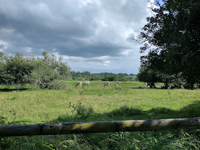 Le Marais de Blonville à Blonville-sur-Mer