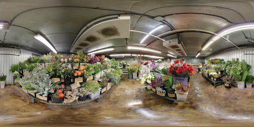 Florist «Austin Flower Co», reviews and photos, 1612 W 35th St, Austin, TX 78703, USA