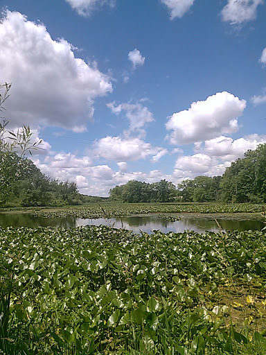 Mill «Sharon Mills County Park», reviews and photos, 5701 Sharon Hollow Rd, Manchester, MI 48158, USA
