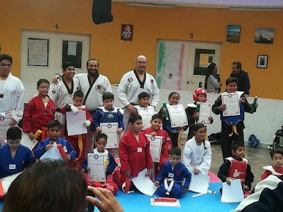 Instituto De Taekwondo Mexico Estrella
