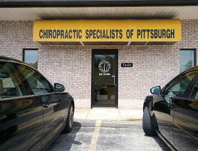 Chiropractic Specialists of Pittsburgh
