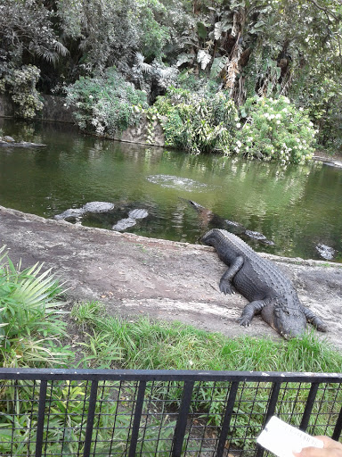 Tourist Attraction «Busch Gardens Main Entrance», reviews and photos, 9449 N 40th St, Tampa, FL 33617, USA