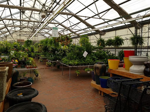 Garden Center «Sixteen Acres Garden Center», reviews and photos, 1359 Wilbraham Rd, Springfield, MA 01119, USA