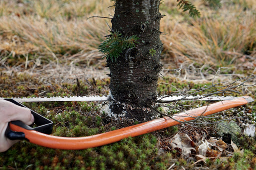 Farm «Vandervalk Farm & Winery», reviews and photos, 25 Lovell St, Mendon, MA 01756, USA