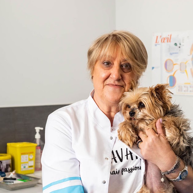 Clinique Vétérinaire Argos à Ars-sur-Moselle