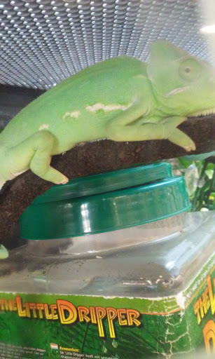 Pet Supply Store «Petco Animal Supplies», reviews and photos, 3454 Palmer Dr #7a, Cameron Park, CA 95682, USA