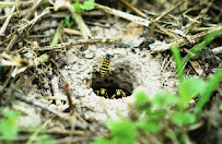 Tulsa Pest Control Pro - Photo 8 - Car repair in Tulsa, OK, Tulsa