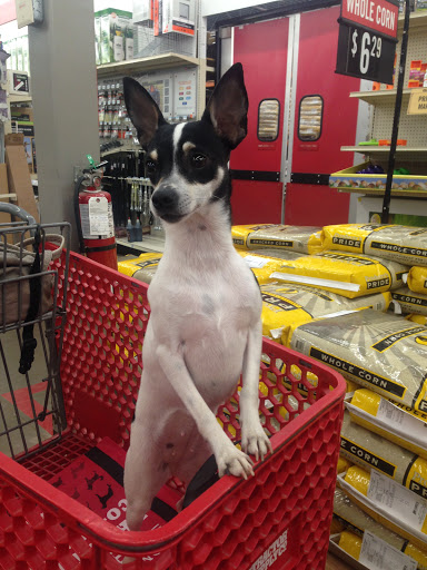 Home Improvement Store «Tractor Supply Co.», reviews and photos, 100 Tractor Ln, Gibsonia, PA 15044, USA