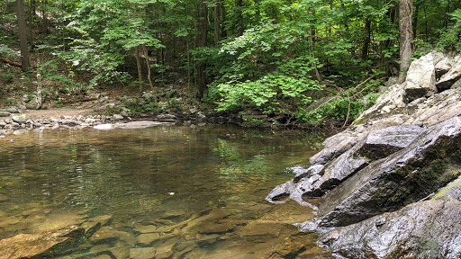 Nature Preserve «The New Weis Center for Education, Arts & Recreation», reviews and photos, 150 Snake Den Rd, Ringwood, NJ 07456, USA