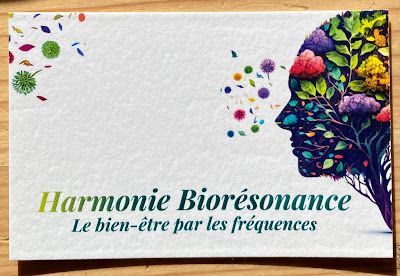 Harmonie Bioresonance Montpellier I Bien être I Fréquences à Villeneuve-lès-Maguelone