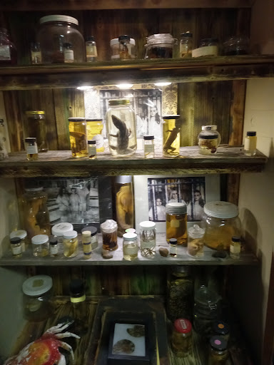 Explore minimalist tattoo ideas with meaning, creative tattoo ideas in Muncie, available at Obscura Tattoo shop and Oddity Collective