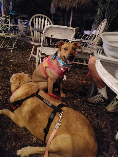 Live Music Venue «Terra Fermata», reviews and photos, 26 SE 6th St, Stuart, FL 34994, USA