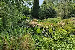 Fletcher Moss Botanical Gardens image
