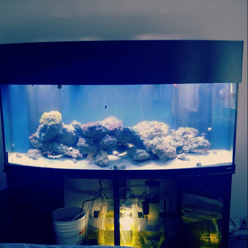 Pet Store «Fish Geeks», reviews and photos, 5845 Hillside Ln, Mechanicsburg, PA 17050, USA