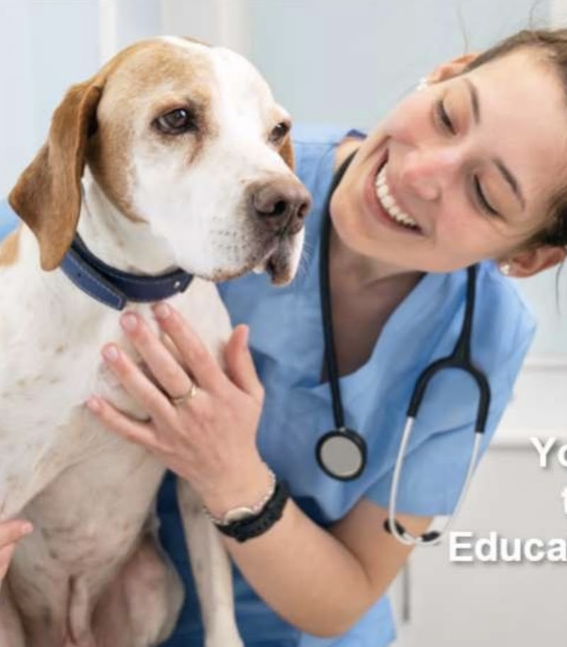 Queens Low Cost Veterinary Center