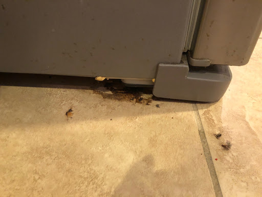 House Cleaning Service «MaidPro», reviews and photos, 1441 E Fletcher Ave #301, Tampa, FL 33612, USA