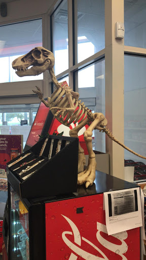 Drug Store «CVS», reviews and photos, 3391 NJ-35, Hazlet, NJ 07730, USA