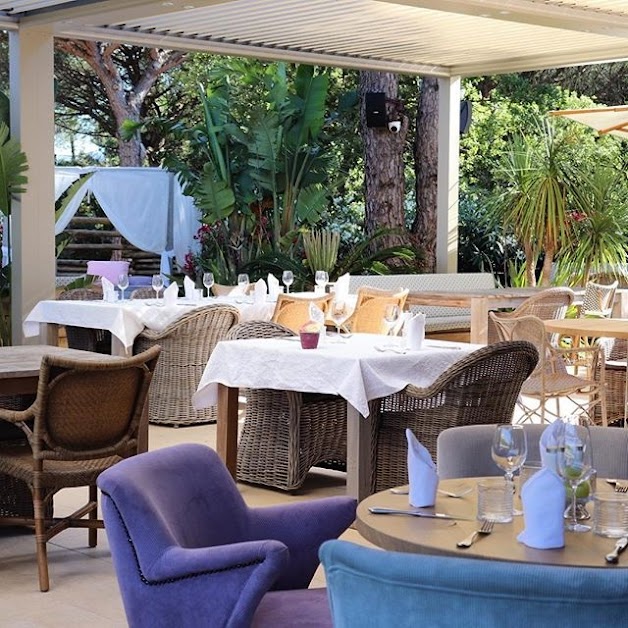 La Piscine (restaurant hôtel Font Mourier Cogolin golfe St-Tropez) à Cogolin