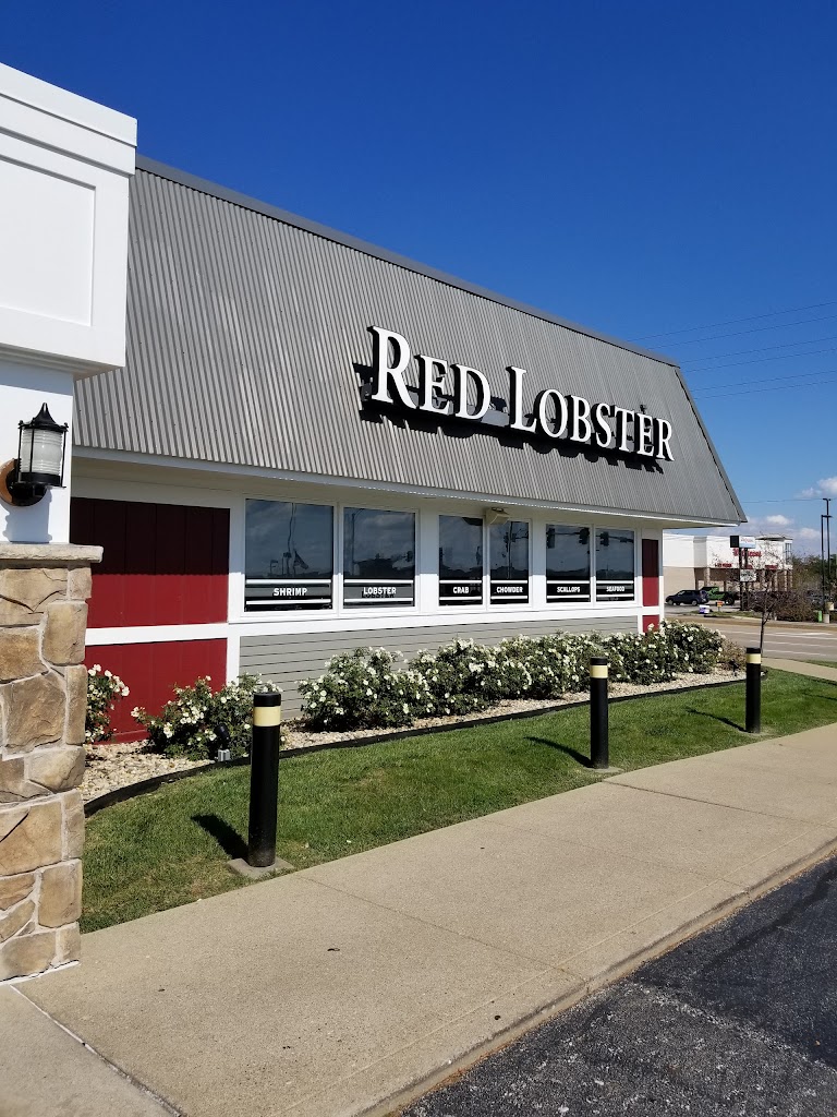 Red Lobster 61615
