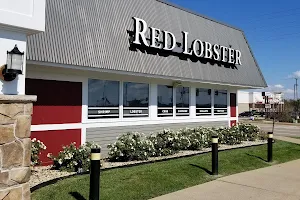 Red Lobster image