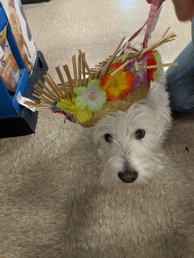 Pet Supply Store «PetSmart», reviews and photos, 5285 Wadsworth Bypass, Arvada, CO 80002, USA