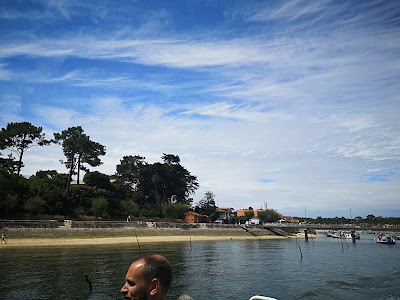 Jalilo - Balades en bateau sur le Bassin d'Arcachon à Arcachon