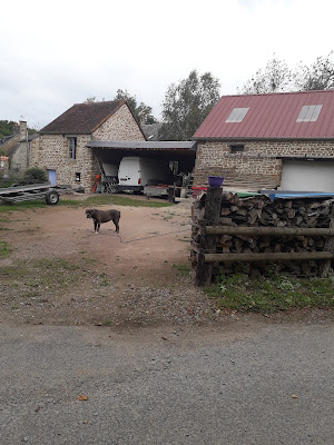 Savoir Faire et Découvertes à Athis-Val-de-Rouvre