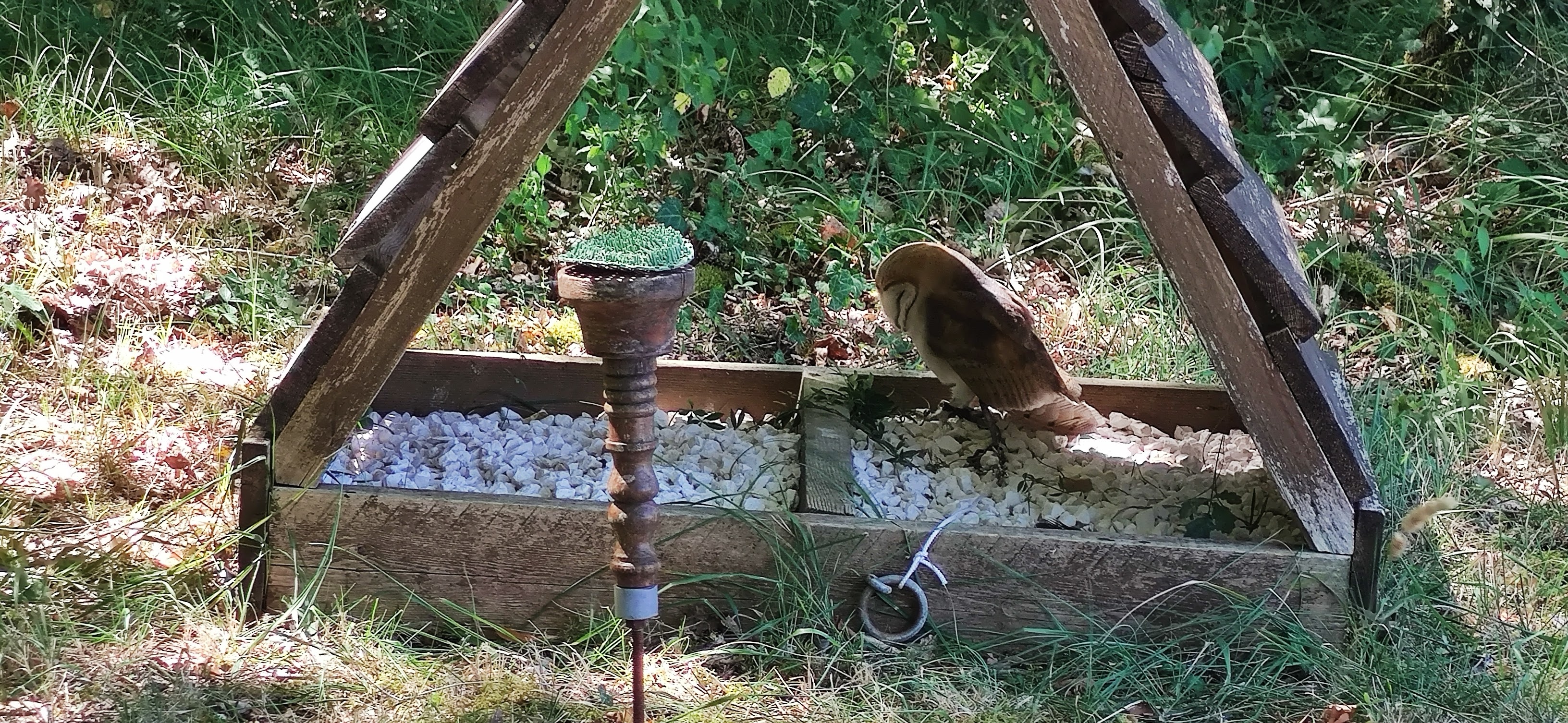 Photo n° 3 de l'avis de blanc.l fait le 13/08/2020 à 11:47
