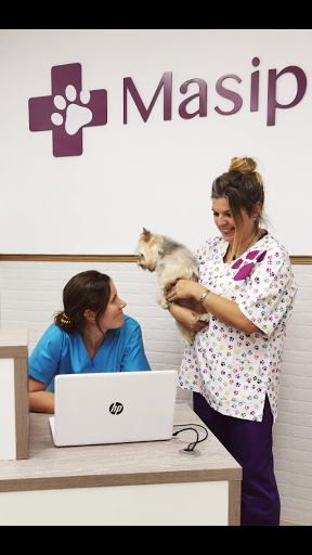 Centro Veterinario Masip en Oviedo
