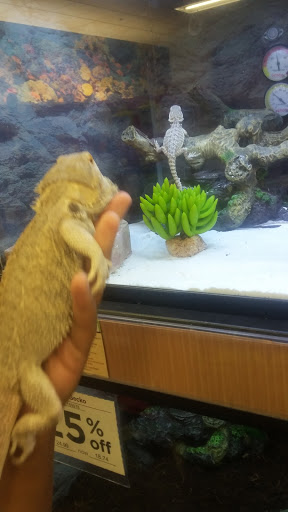 Pet Supply Store «Petco Animal Supplies», reviews and photos, 975 NW Gilman Blvd E, Issaquah, WA 98027, USA