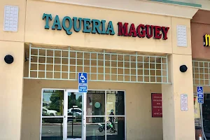 Taqueria Maguey image