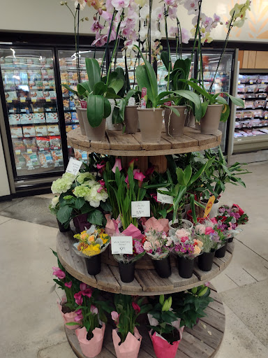 Grocery Store «Whole Foods Market», reviews and photos, 102 New Waverly Pl, Cary, NC 27518, USA