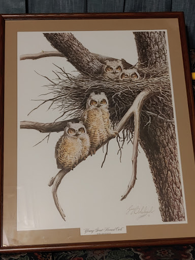 Thrift Store «Goodwill Retail Store», reviews and photos