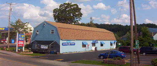 Pet Store «Laconia Pet Center», reviews and photos, 1343 Union Ave, Laconia, NH 03246, USA