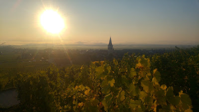 Vins Mathieu Lichtlé à Ammerschwihr