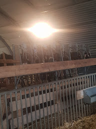 Photo n°10 de Les Chèvres de Monsieur Julien à Francilly-Selency ()